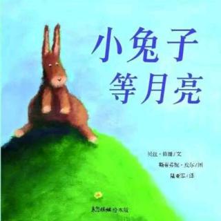 朱曲双语幼儿园的晚安故事219《小兔子等月亮》