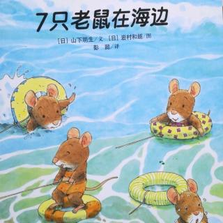 Lily老师讲故事——《7只老鼠在海边》