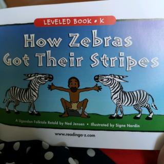 How zabras got their strips