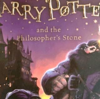 Harry Potter Chapter 4-6