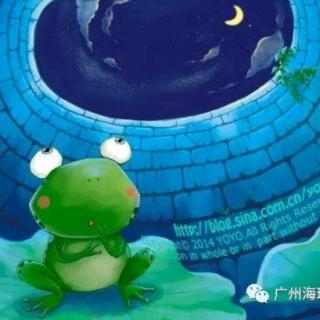 《井底的小青蛙🐸》