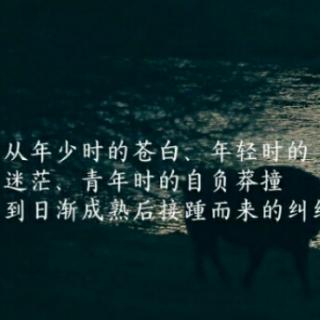 《他们最幸福》3