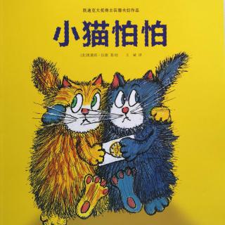 【马修为你讲故事】小猫怕怕