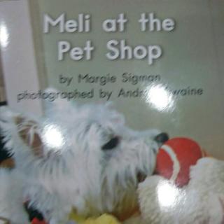 Meli at the Pet Shop