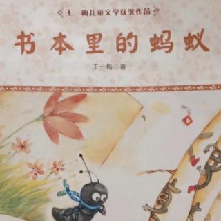 《书本里蚂蚁》4.给乌鸦的罚单