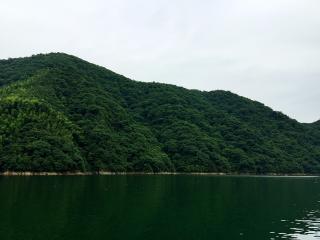 望天门山、绝句(杜甫)