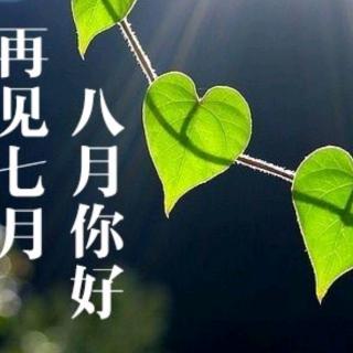 《聪明的乌龟🐢》