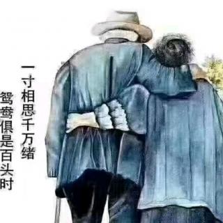 见与不见