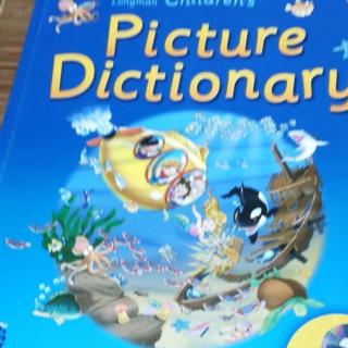 picture dictionary