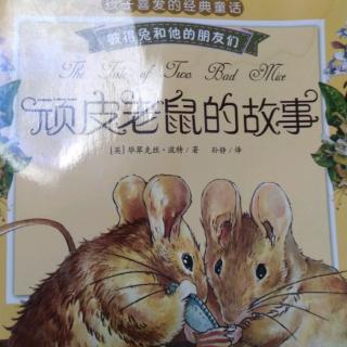 裁缝和小老鼠的故事