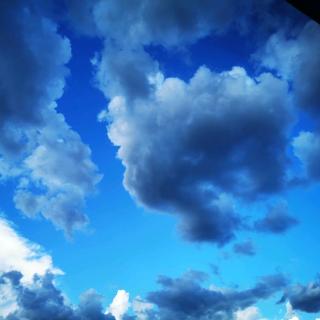 【人生礼赞】在线收听_言言小主播的播客_荔