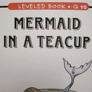 江尚玥—Q—Mermaid in a teacup