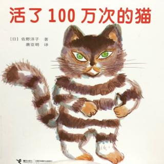 【小方块讲故事】《活了100万次的猫》