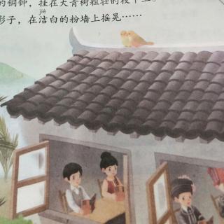 大青树下的小学