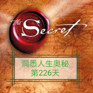 洞悉人生奥秘第226天