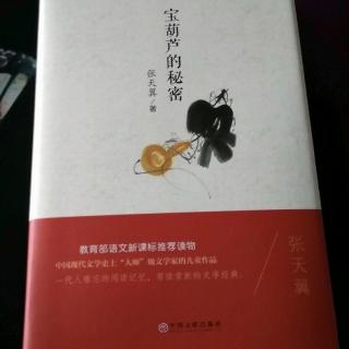 宝葫芦的秘密第16章