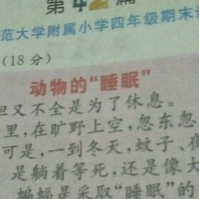 动物的睡眠