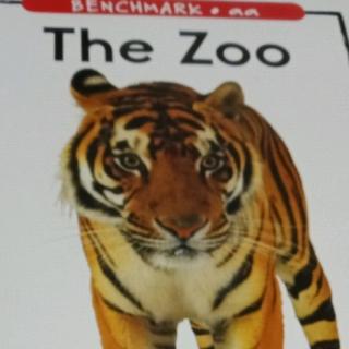 The  zoo