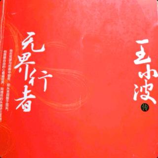 无界行者—王小波传 第十章 中国的卡夫卡 3 历史不会忘记