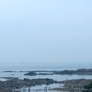 8.7闲谈莫论人非