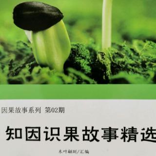 《知因识果故事精选》故事133：一错害全家