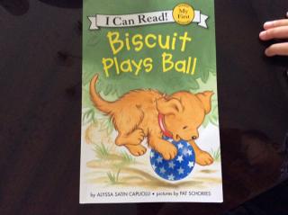 biscuit plays ball