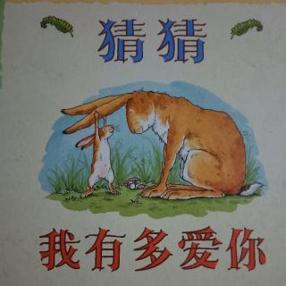 《猜猜我有多爱你》