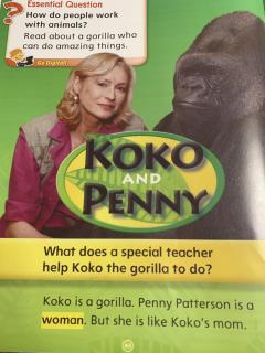 KoKo   AND   PENNY