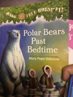 Polar Bears Past Bedtime3