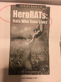 沛霖诵读｜HeroRATs: Rats Who Save Lives, 2019.08.09