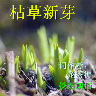 《枯草新芽》词作者：龙秀梅 ；铁石朗诵