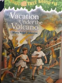 Vacation Under the Volcano 4