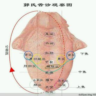 众想之声   96   40岁后身体应该做好三防