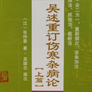 59.《吴述重订伤寒杂病论（上篇）》卷三（41）