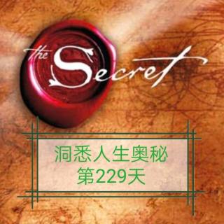 洞悉人生奥秘第229天