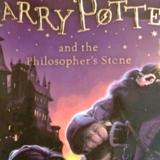 Harry Potter Chapter 4-9
