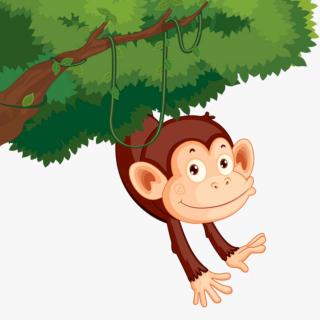 小猴爬上苹果树