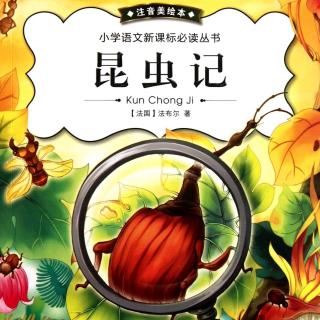 昆虫记神圣的甲虫蜣螂