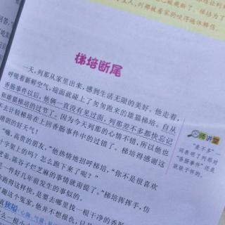 褚晓阳  第35天  梯培断尾