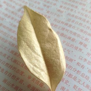 90后的故事，你可还记得？