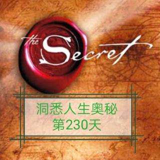 洞悉人生奥秘第230天