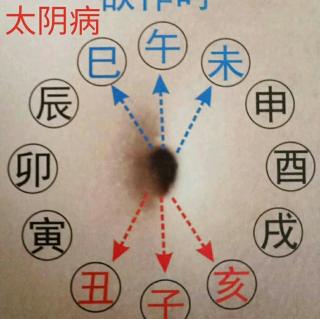 何强老师分享中医经络外治及络脏流鼻血、口腔溃疡的原因