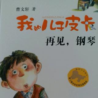 再见钢琴我的儿子皮卡13
