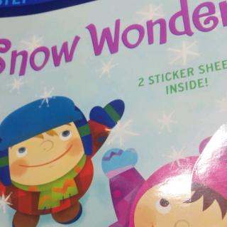 Snow Wonder