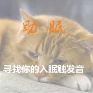 寻找你的入眠触发音-波动