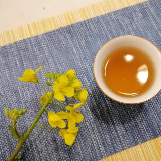 50、【小象说茶】喝茶为什么可以消炎呢 ？