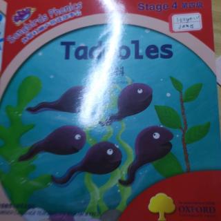 James背诵（Tadpoles）