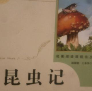 昆虫记一《荒石园》