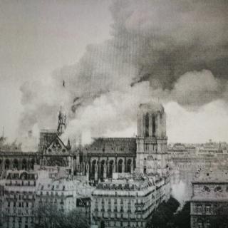 Notre Dame Burns