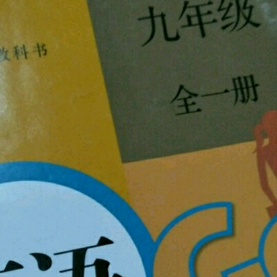 九年级英语第10单元词汇